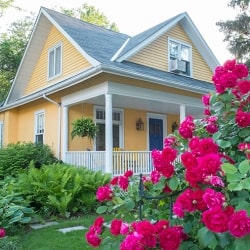 pink flowers in front of the yellow house