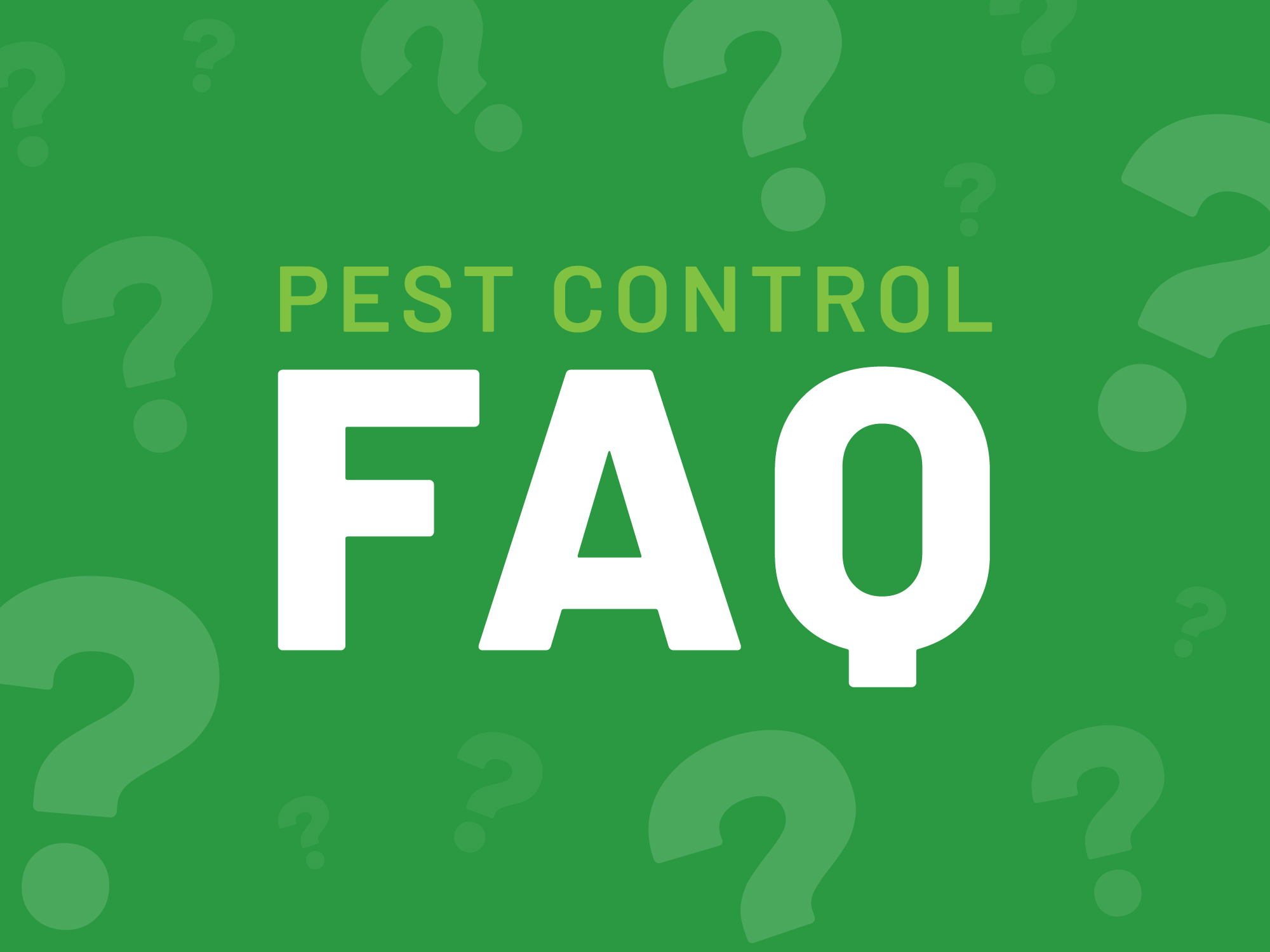 answering-all-your-pest-control-questions-terminix-service-inc